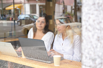 Pretty concentrated women working indoors behind window. Blonde and brunette ladies using laptops, sitting at table and looking at screen. Communication, digital technology and teamwork concept