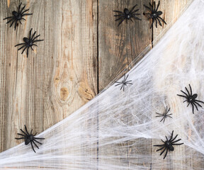 white spider web with black spiders on a gray wooden background from old boards