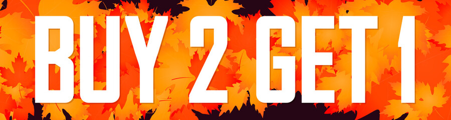 Buy 2 Get 1 Free, Autumn sale web banner design template, Fall discount horizontal poster, vector illustration