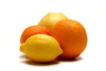 Zitrusfrüchte, Clementine, Grapefruit, Orange, Zitrone.