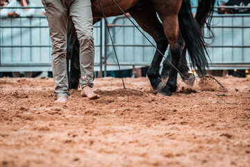 Horse whisperer walking barefoot on the sandpit. Moments before the show begins, natural feeling with the ground and the animal. Rodeo and ranch lifestyle, trainer, equestrian sports moment.