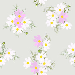 Seamless vector illustration with flowers of kosmei