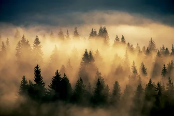 Papier Peint photo Lavable Forêt dans le brouillard paysage de montagne brumeux avec forêt de sapins. style hipster rétro vintage