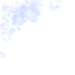 Fototapeta na wymiar Light blue flower petals falling down. Imaginative