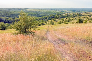 A large green field with trees in the background. the road that goes into the distance