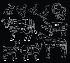 Butcher diagram guide for cutting meat in black and white chalk style