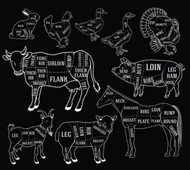 Obraz premium Butcher diagram guide for cutting meat in black and white chalk style