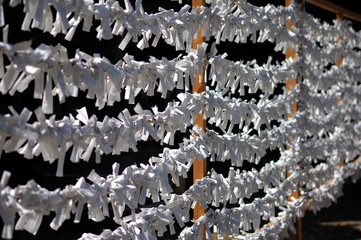 Obraz premium おみくじ