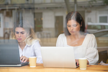 Focused blonde and brunette women working on laptops and sitting at table with takeaway coffee. Professional designers creating new design. Communication and digital technology concept