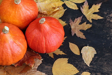 Autumn background with pumpkins and leaves