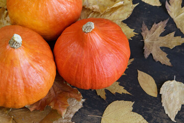 Jesienna kompozycja z dyni i liści © Monika