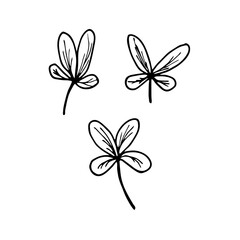 Vector contour cranberry leaves set. Hand-drawn outline sketch illustration on white background isolated. Ornamental simple leaf. Vintage decorative elements for floral botanical design.