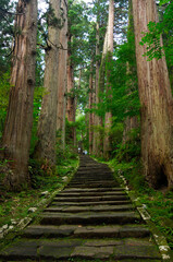 羽黒山参道