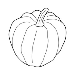 Pumpkin transparent vector illustration isolated on white background. Healthy vegetarian food. Doodle style. Decoration for greeting cards, posters, patches, prints for clothes, emblems.