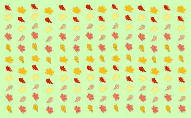 Vector pattern of autumn maple and oak leaves in different shades of yellow, orange and brown on green background