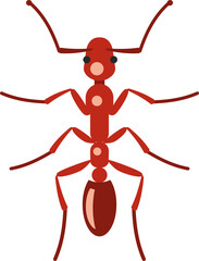 Red wild ant isolated on white background. Realistic ant. Flat infographics. Vector illustration.