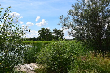 Widoki nad Jeziorem Stańków