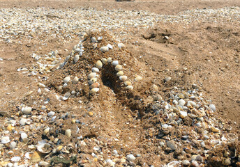 Sand building decorated with shells, Crimea, village Zolotoe