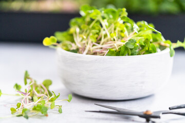Microgreens
