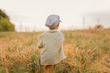 A child stands in a field with his back to the camera. Boy in a barley field, back view. Childhood,  retro. Summer concept.