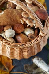 wooden wicker full of forest mushrooms