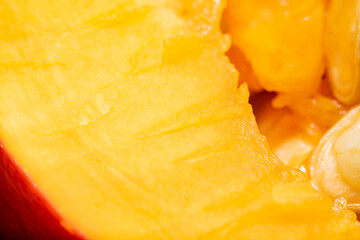 Background with closeup pulp of the inner part of pumpkin in soft focus