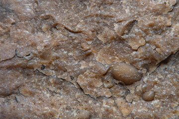 A close-up of a granite cobblestone with small inclusions of quartz under high magnification....