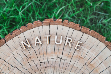 inscription «Nature» made of wooden letters on stump in the forest