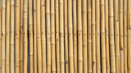 Old natural bamboo fence texture background