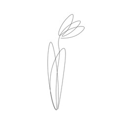 Flower drawing on white background. Vector illustration