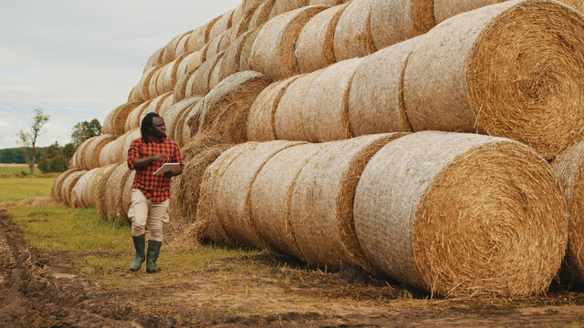 Young african man, farmer working on tablet in front of the hay roll stack. Smart farming concept, wide angle. High quality photo