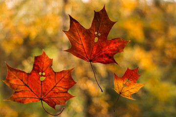 Autumn red and yellow maple leaves in the form of ghosts in honor of the holiday of Halloween on a background of autumn bokeh