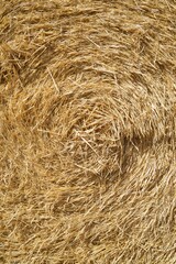 Straw bale view