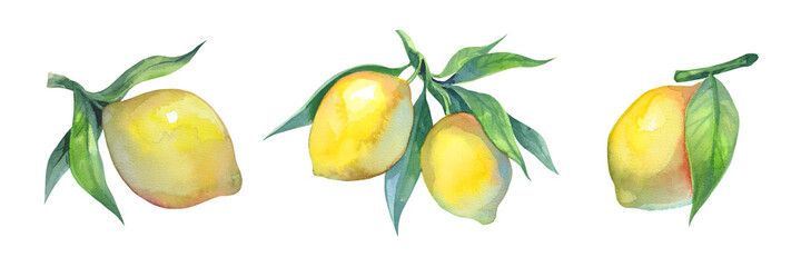 Watercolor set of yellow lemons isolated on white background
