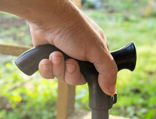 a black walking stick in a man's hand,a brush at close range