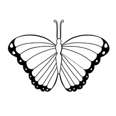 Graphic icon of butterfly. Butterfly tattoo isolated on white background. Vector