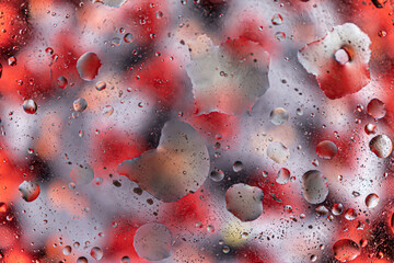 Abstract oil and water bubbles. 