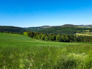 A beautiful view of fresh green field and blue sky at daytime in the valley Taubertal, Germany with copy space