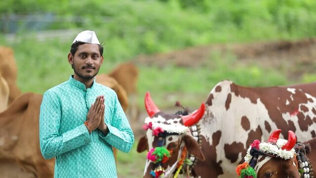 indian pola festival, Indian farmer festival