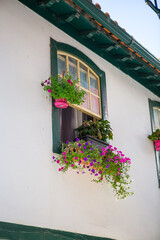 Detailed view of a window with of several vases with flowers on a classic building facade