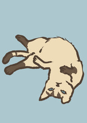 お腹を見せて甘える猫の手描きイラスト