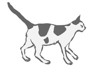 颯爽と歩いているブチ柄の猫の手描きイラスト(白バック)