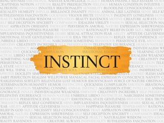 instinct