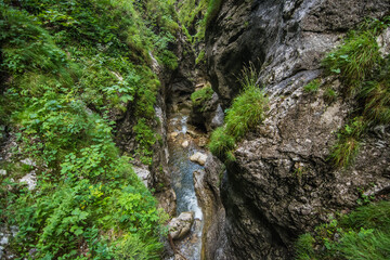 deep narrow gorge with green plants