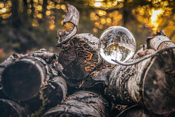 Pile of old birch trees and a glass ball.