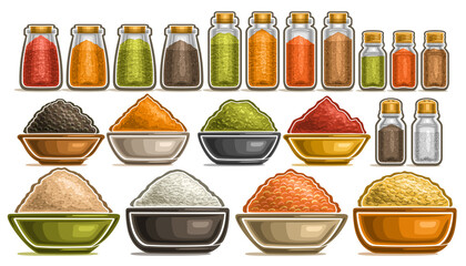 Vector Set of different Spices, collection of isolated illustrations with healthy cereals in pots, diverse fresh hot spices in dishes, group of assorted dried seasonings in glass containers on white.