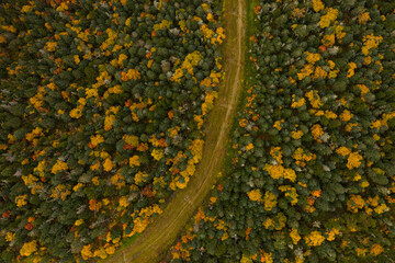 Fall Foliage Birds Eye Perspective