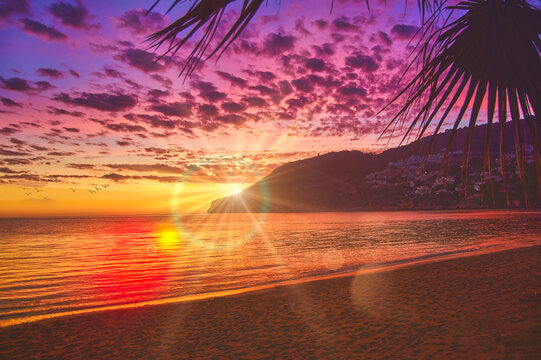 afternoons on the beach looking at the sea