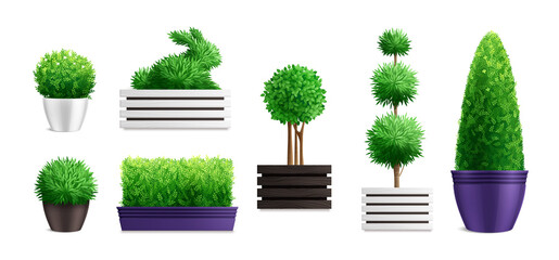 Decorative Garden Bushes In Pots Icon Set