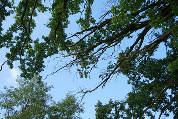 Herbst in Europa